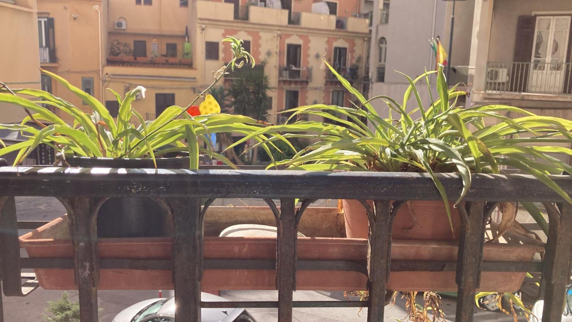 דירות פלרמו Casa Empedocle מראה חיצוני תמונה